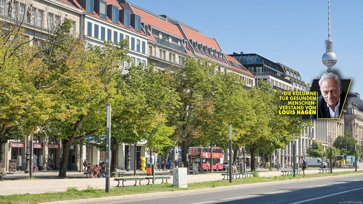 Ode an die Linde: Wie ihr Duft eine Stadt verändert
