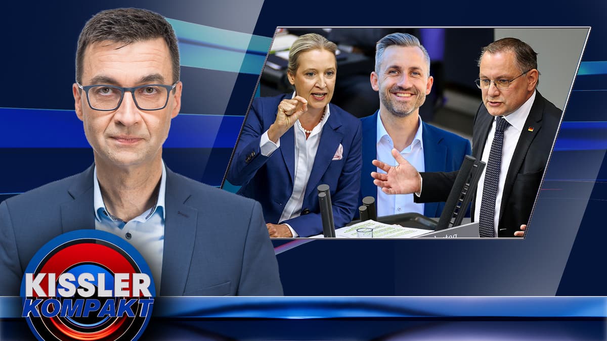 Die AfD ist Volkspartei geworden: Mit Arroganz werden die etablierten Parteien nichts daran ändern