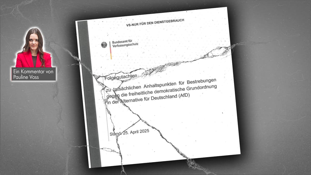 Nicht „gesichert rechtsextrem“, kein „Masterplan“: Wie zwei Gerichtsurteile die linke Macht zertrümmern