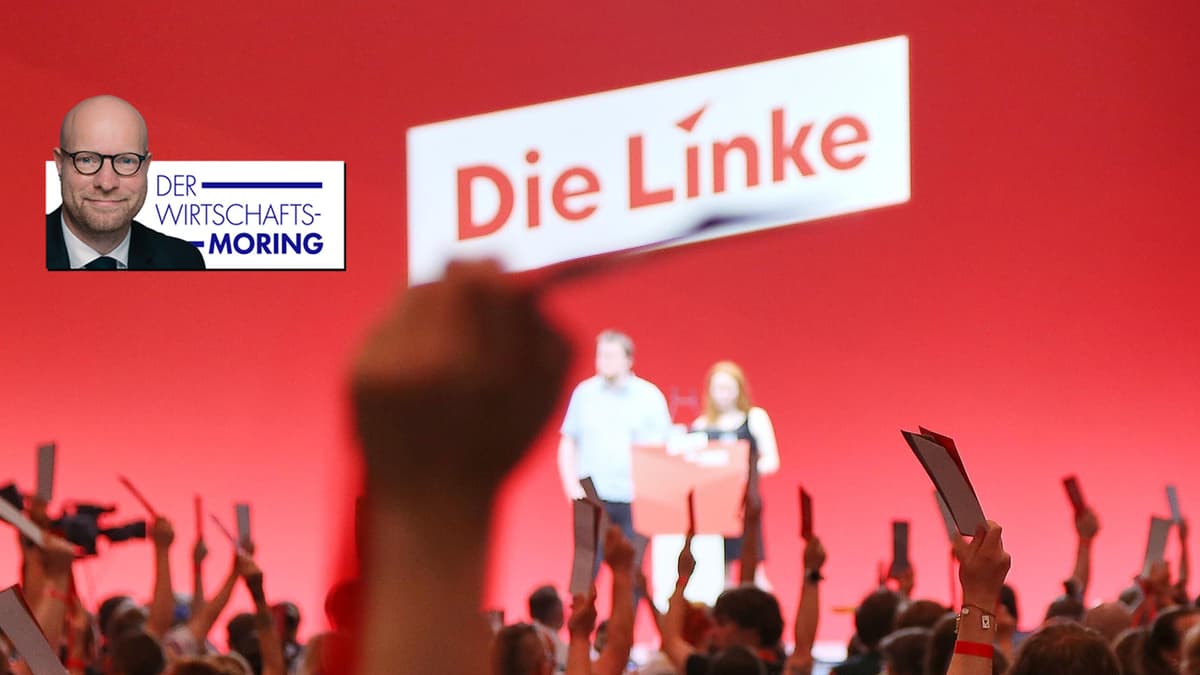 Die skurrilsten Beschlüsse des Linken-Parteitags