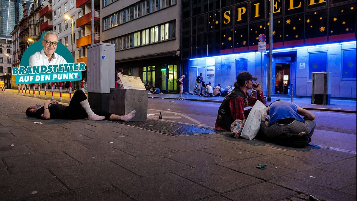 Der Saustall der Republik